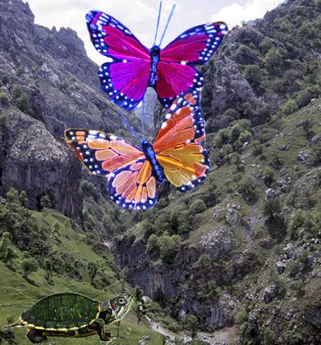 Mariposas de La Luz, poema simple.