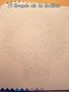 Colorear EL MUNDO SALVAJE - Hope Little y Çetin Can Karaduman