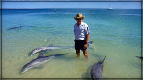 La playa de los delfines en Cancún