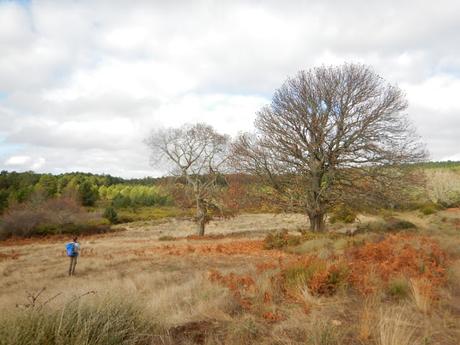 Ruta por los alrededores de Cional. Zamora