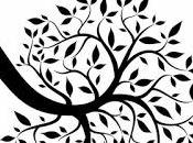 MATAR RUISEÑOR, Harper