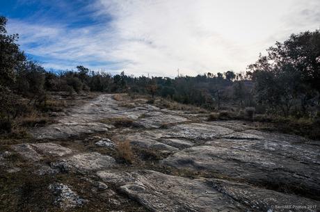 Bajo un sol atenuado