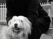 Poesía Norteamericana (59): Lawrence Raab: