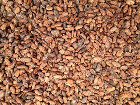 UN AÑO MÁS, CHOCOA, FERIA PARA CHOCOLATEROS