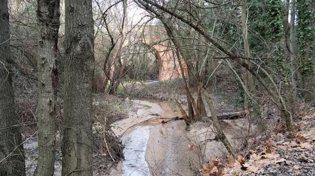 Mesón el Molino [Volver a los orígenes]