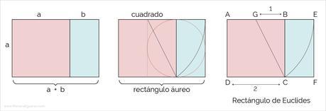 La secciĂłn ĂĄurea en la composiciĂłn y maquetaciĂłn de libros - ObtenciĂłn del rectĂĄngulo ĂĄureo La secciĂłn ĂĄurea en la composiciĂłn y maquetaciĂłn de libros - ObtenciĂłn del rectĂĄngulo ĂĄureo