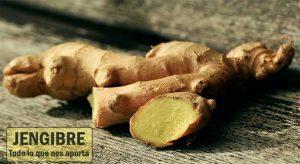 Jengibre, todo lo que debes saber beneficios sobre el jengibre