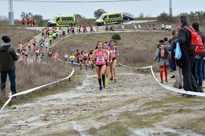 CAMPEONATO AUTONOMICO DE CAMPO A TRAVES 2017