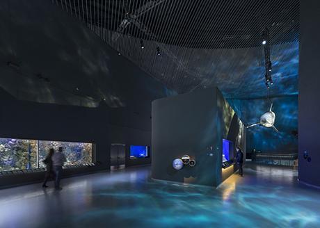 ACUARIO BLUE PLANET BY 3XN