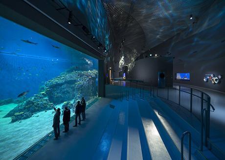 ACUARIO BLUE PLANET BY 3XN