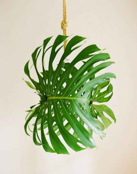 8 Diy e ideas para crear decoración Urban Jungle