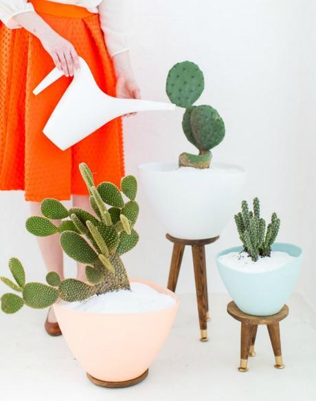 8 Diy e ideas para crear decoración Urban Jungle