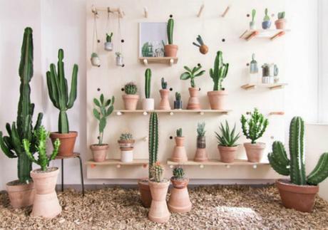 8 Diy e ideas para crear decoración Urban Jungle