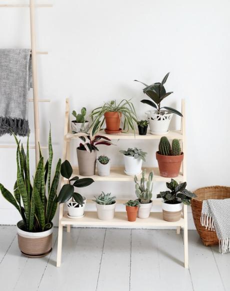 8 Diy e ideas para crear decoración Urban Jungle