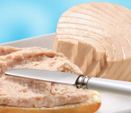 12 Deliciosas recetas practicas y sencillas con atún 12 Deliciosas recetas practicas y sencillas con atún