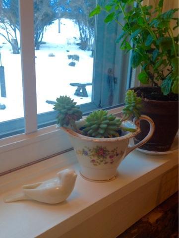 Y dale con los pajaritos