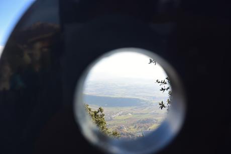 Una sociedad cangrejo