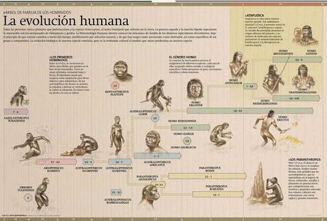 Evolución, hominización y humanización