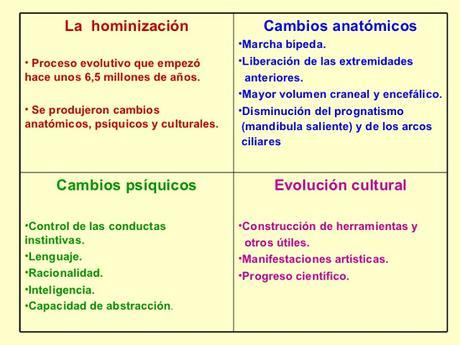 Evolución, hominización y humanización