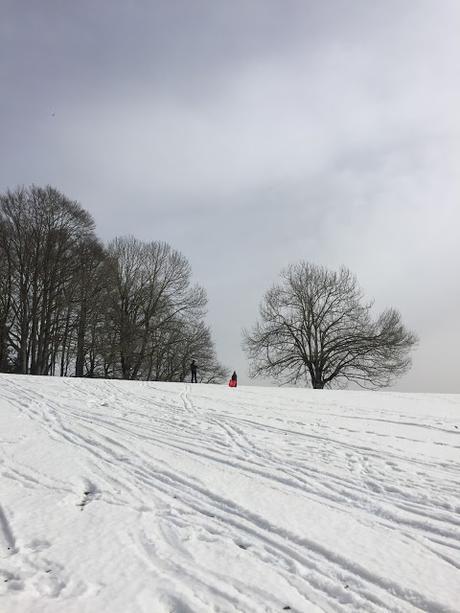 PLANES DE INVIERNO CON NIÑOS PLANES DE INVIERNO CON NIÑOS