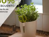 cultivo macetas: normas básicas