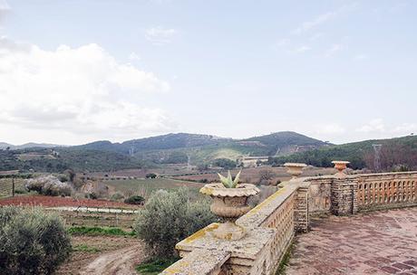 Can Ràfols dels Caus, Turismo Enológico. 