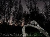 ginetas