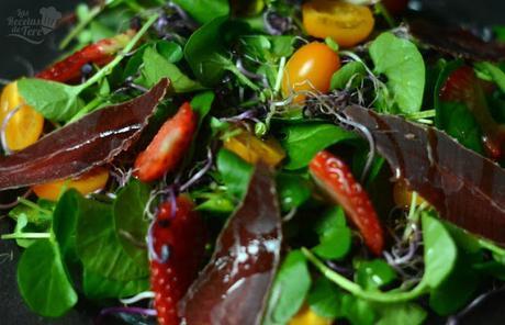 Ensalada-de-berros-con-brotes-tomates-cherry-y-cecina-de-ciervo-04