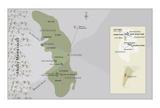 Los vinos de Zuccardi: de la innovación a la acción