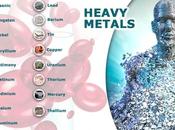 Protección detoxificación metales tóxicos nuestro organismo