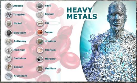 Protección y detoxificación de metales tóxicos en nuestro organismo