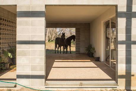 El cobertizo del Santo Caralampio