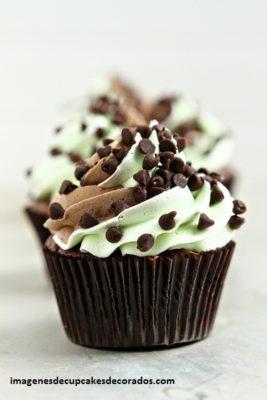 cupcakes de chocolate con menta chocolate