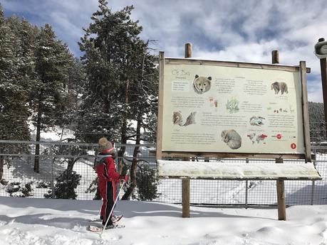 Qué hacer en invierno en Andorra con niños Qué hacer en invierno en Andorra con niños