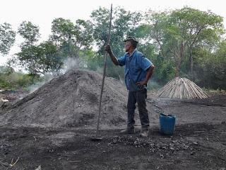 EL CARBONERO