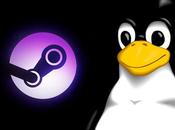 VALVe publica primera beta SteamVR para Linux