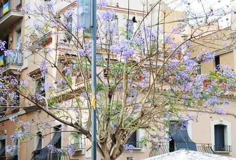 Un poco de mar: Sábado en Sitges, Domingo en Barceloneta