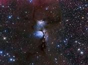 ✨M78 bucle Barnard Terry Hancock