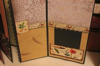FOTOFOLIO BOTANICA