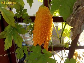 LIMEQUATS EN ALMIBAR