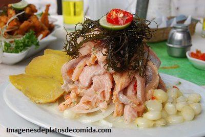 platos tipicos nacionales cebiche platos tipicos nacionales cebiche