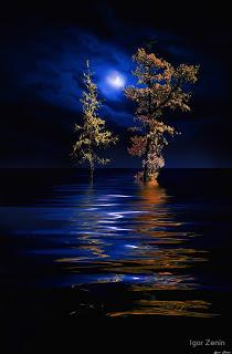 POR SI NO LO SABÍAS...