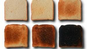 Tóxicos en los alimentos. La acrilamida de patatas fritas y otros cocinados a altas temperaturas Acrilamida