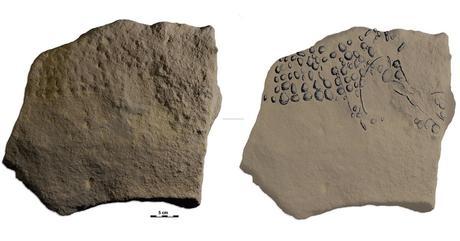 Tal cual Van Gogh: Artistas hace 38.000 años utilizaron técnica del puntillismo