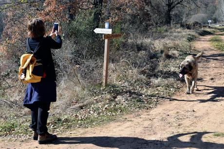 Camino Lebaniego a Santo Toribio, tercera etapa: Carbajal de Rueda-Cistierna-Valdoré.