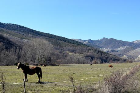 Camino Lebaniego a Santo Toribio, tercera etapa: Carbajal de Rueda-Cistierna-Valdoré.