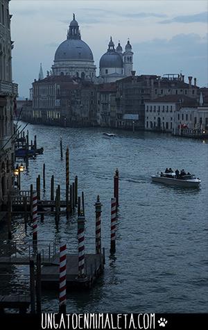 Ruta por Venecia para no perderse nada