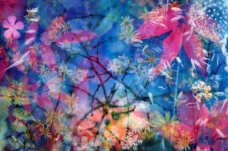 Luis Mariano González, una mirada al mundo de la naturaleza