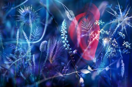 Luis Mariano González, una mirada al mundo de la naturaleza