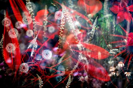 Luis Mariano González, una mirada al mundo de la naturaleza